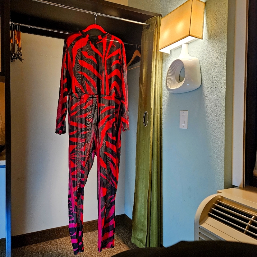 Sheer Jumpsuit